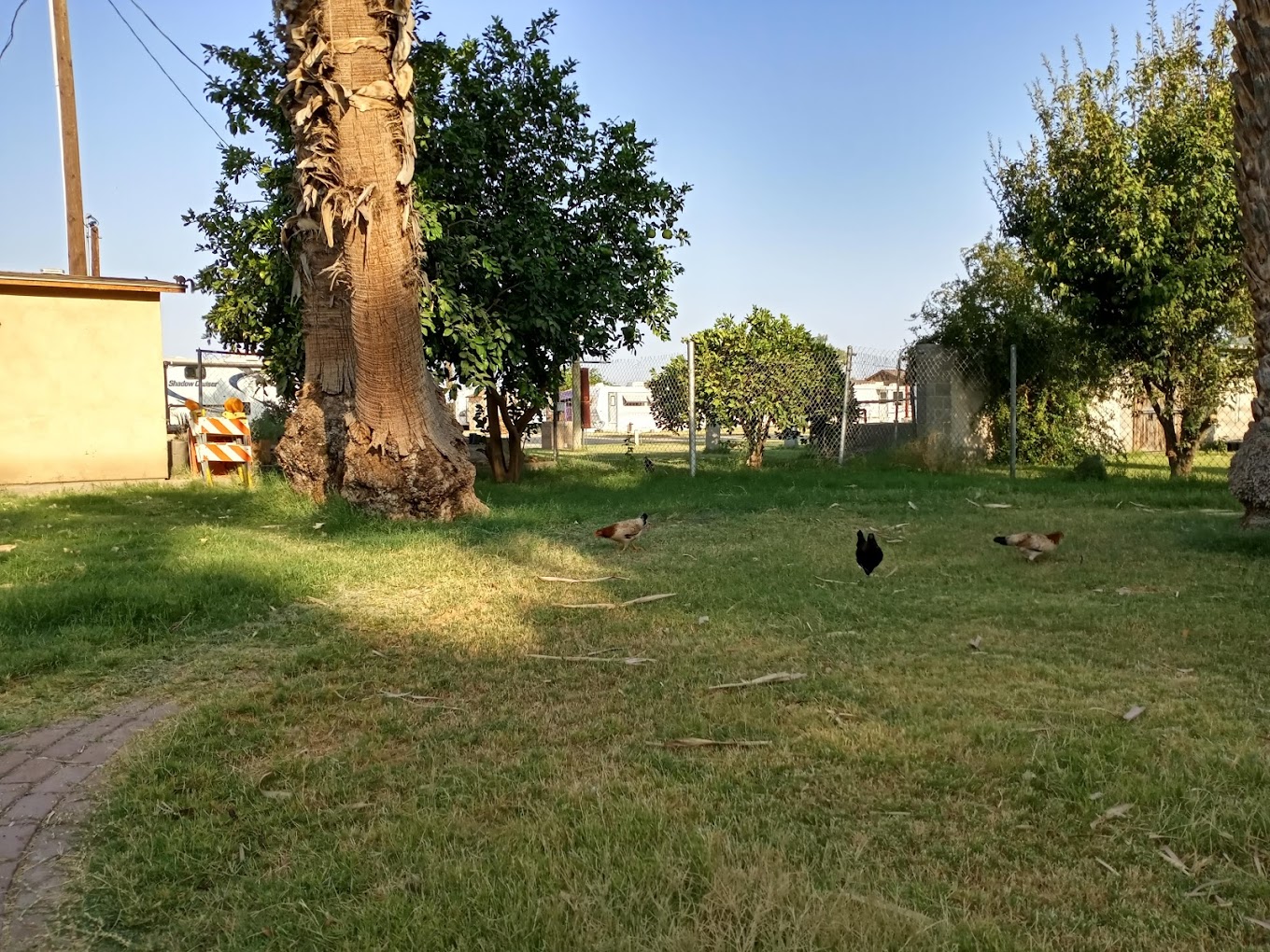 Rolle’s Lynda Vista RV Resort