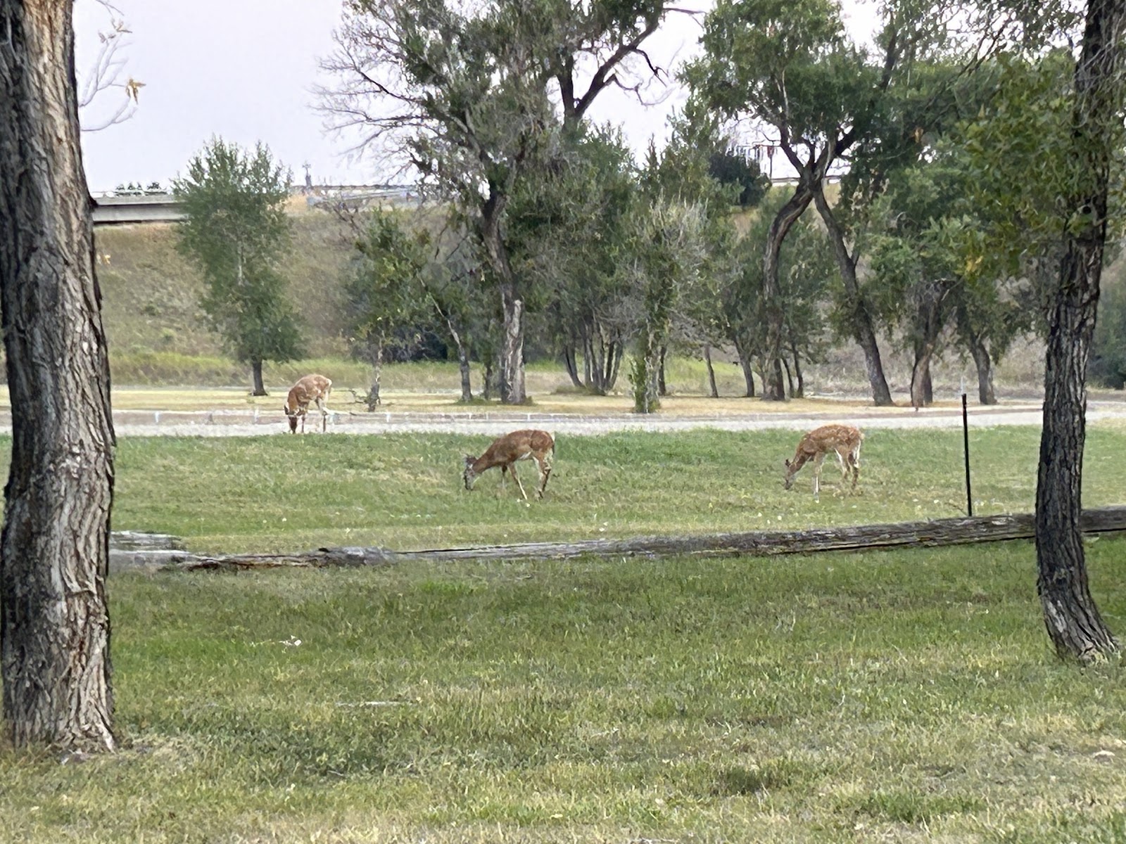 Chief Joseph City Park