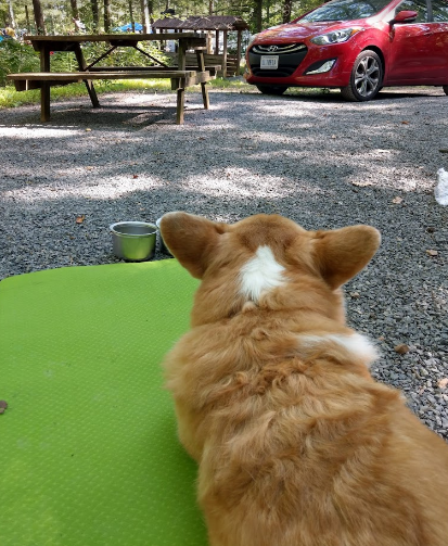 KOA Williamsport South Nittany Mtn