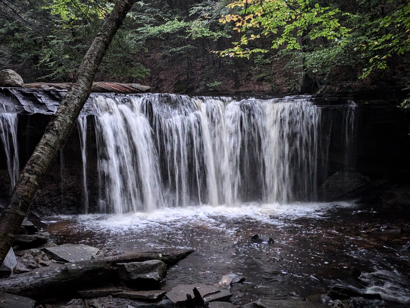 Ricketts Glen State Park