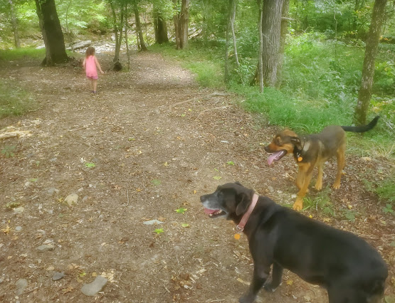 Brookside RV Retreat