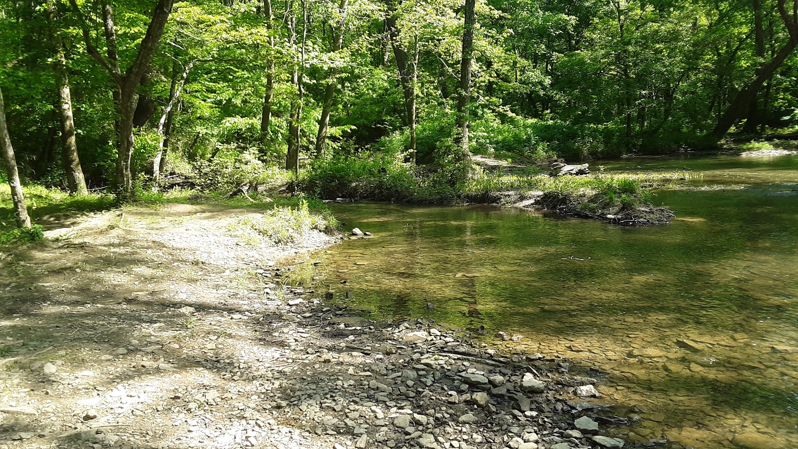 Big Creek Natural Area