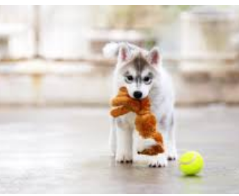 Lake Mendocino Recreation Area