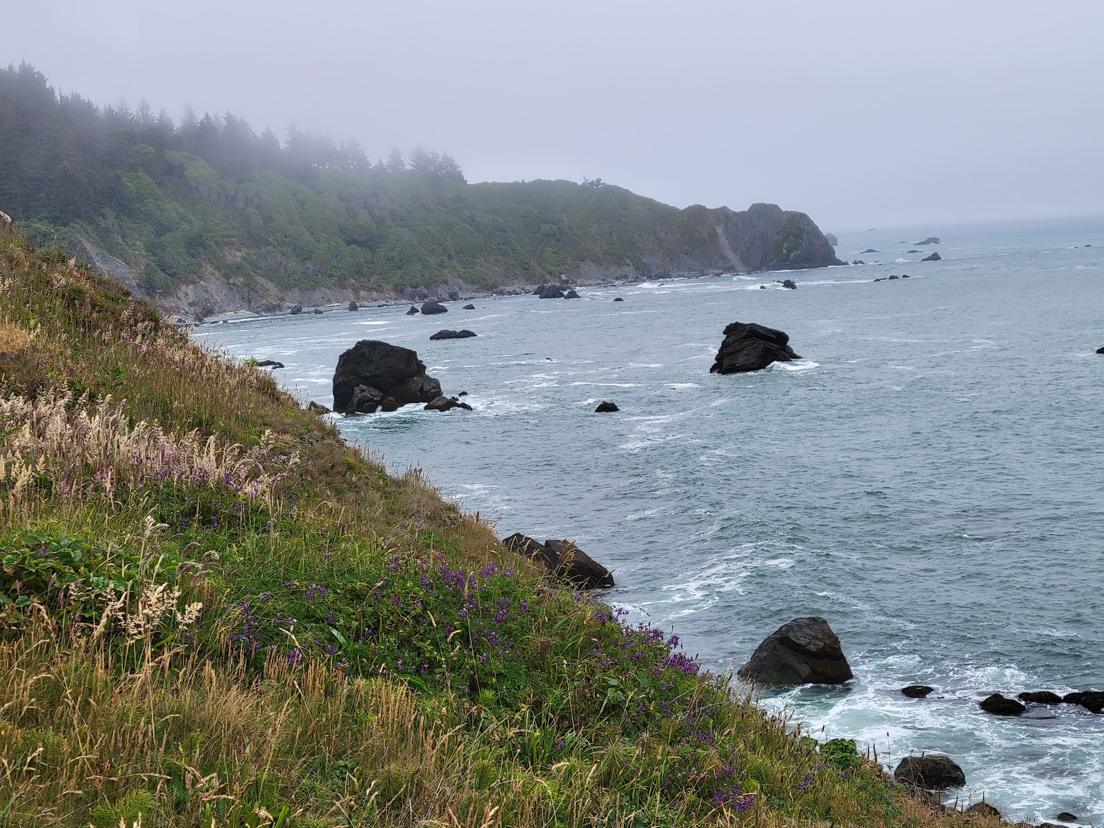 Patrick’s Point State Park