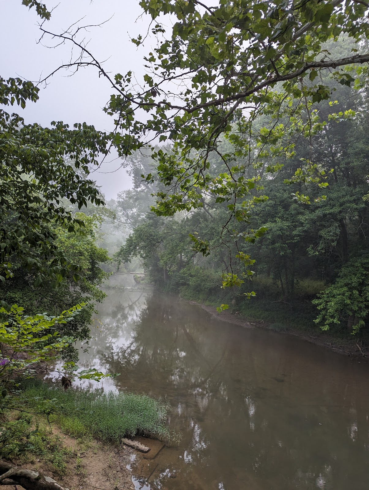 Lane Farm Campground