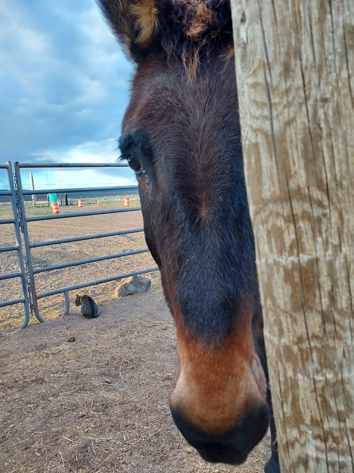 The Tuckers' Private Campground & Hobby Farm