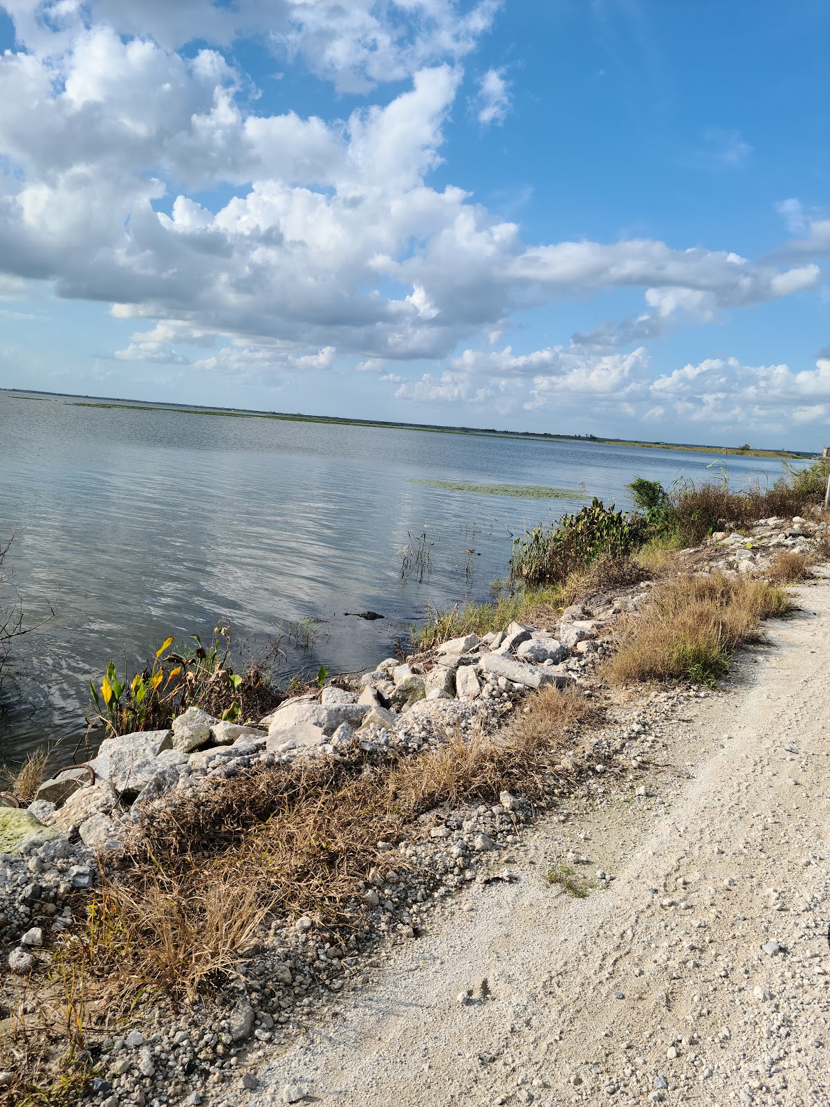 Magnolia County Park