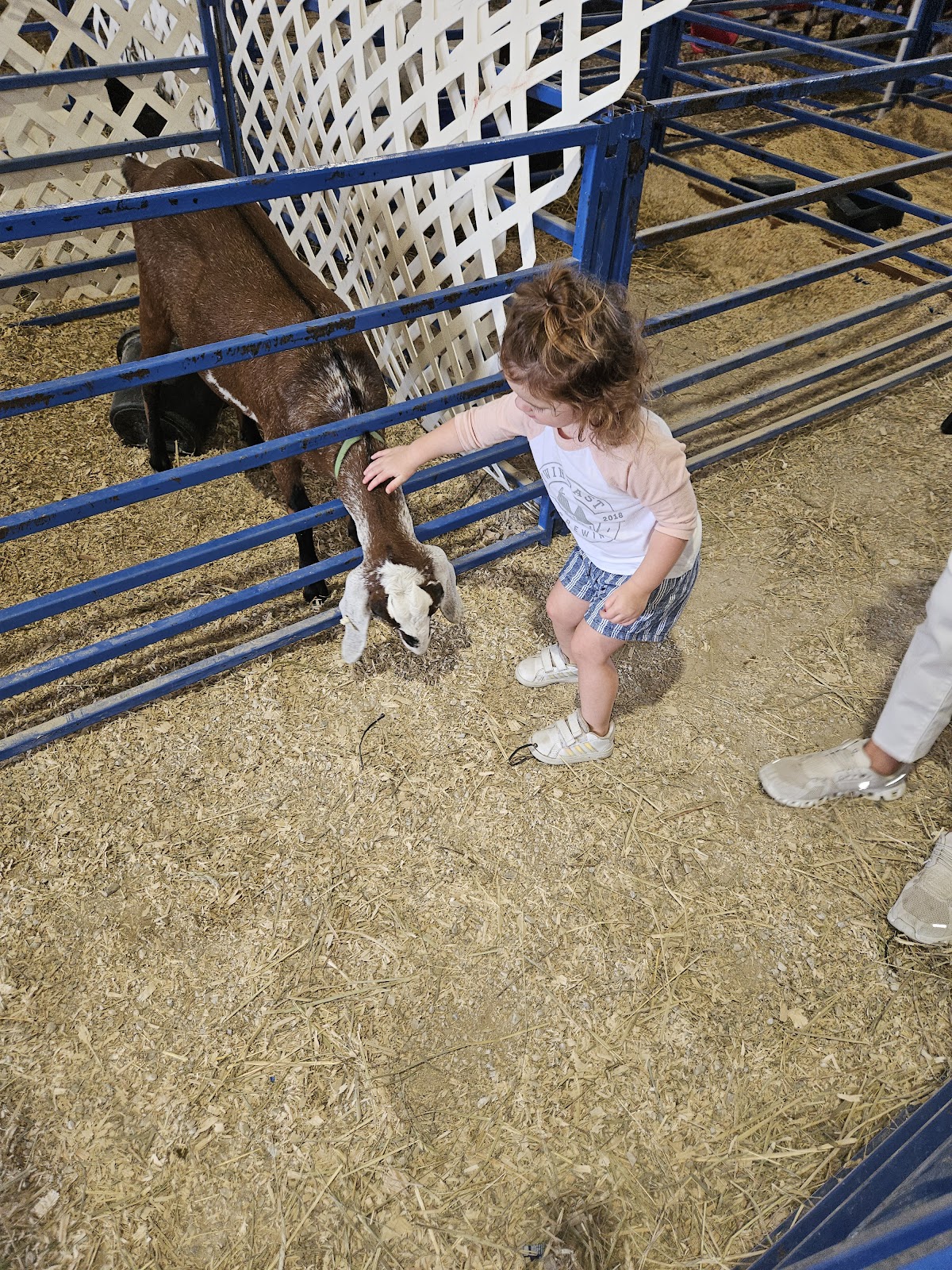 Sandusky County Fairgrounds