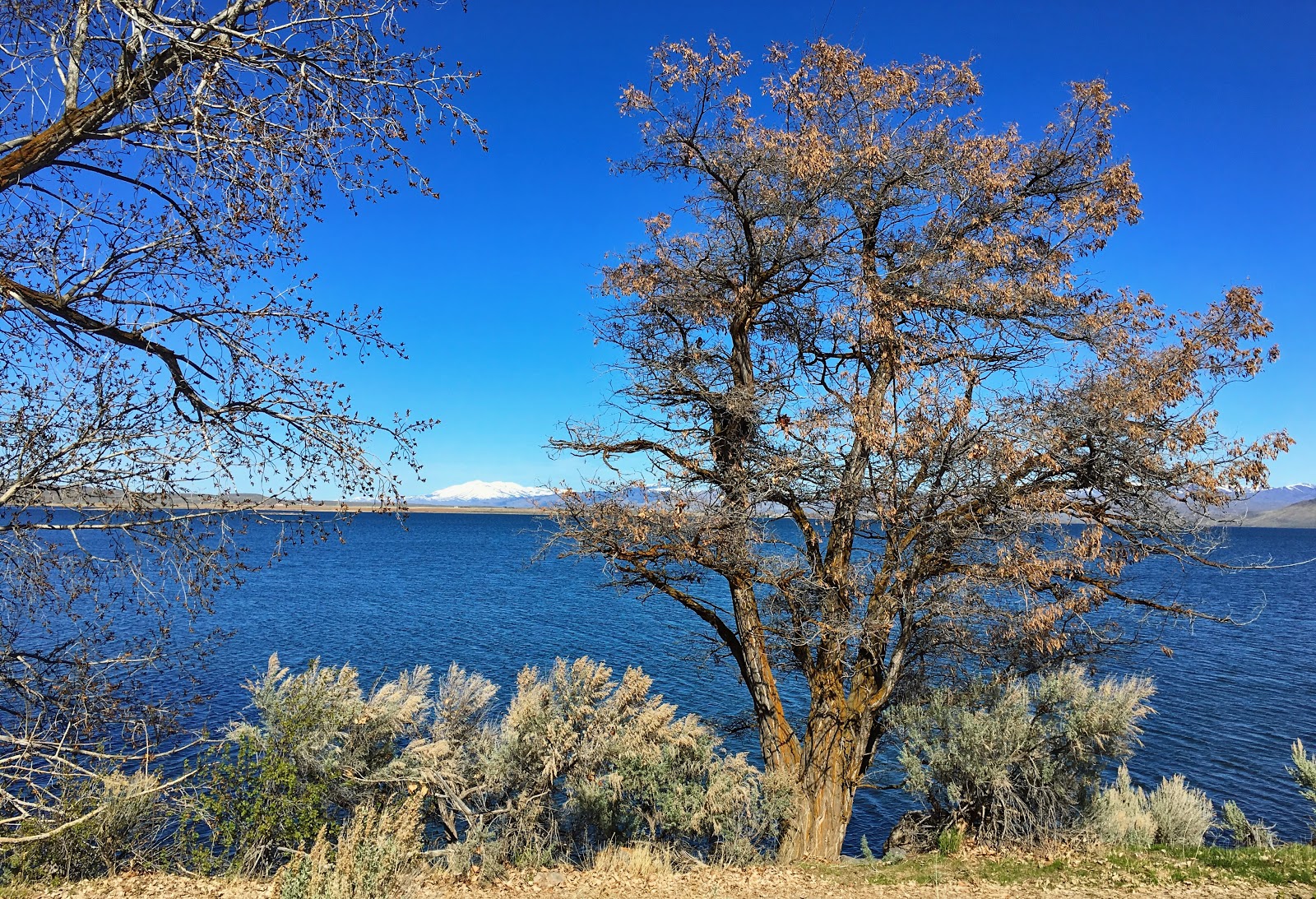 Magic Reservoir - Lava Point