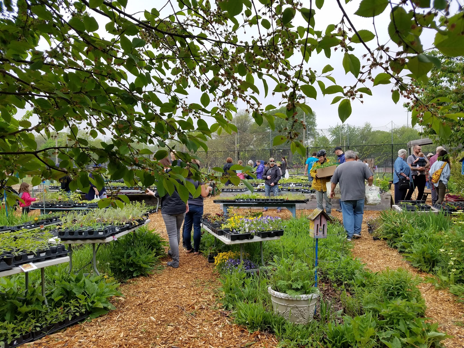 Kilbourn Park & Organic Green House