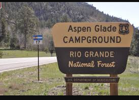 Aspen Glade (Rio Grande National Forest, CO)