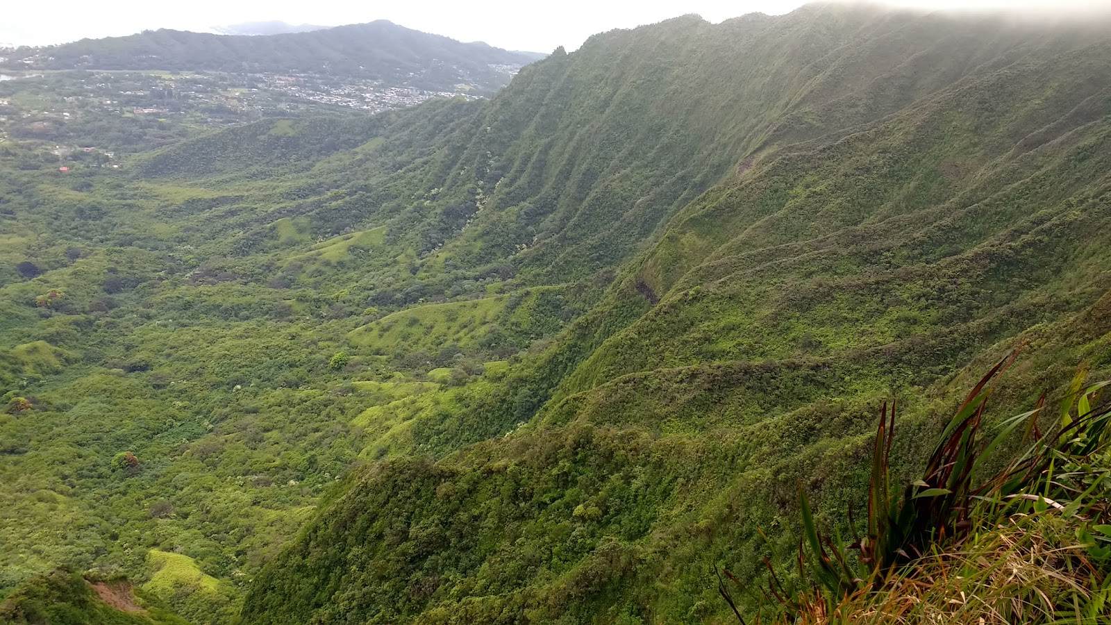 Waimano Valley / Ridge Trail Head