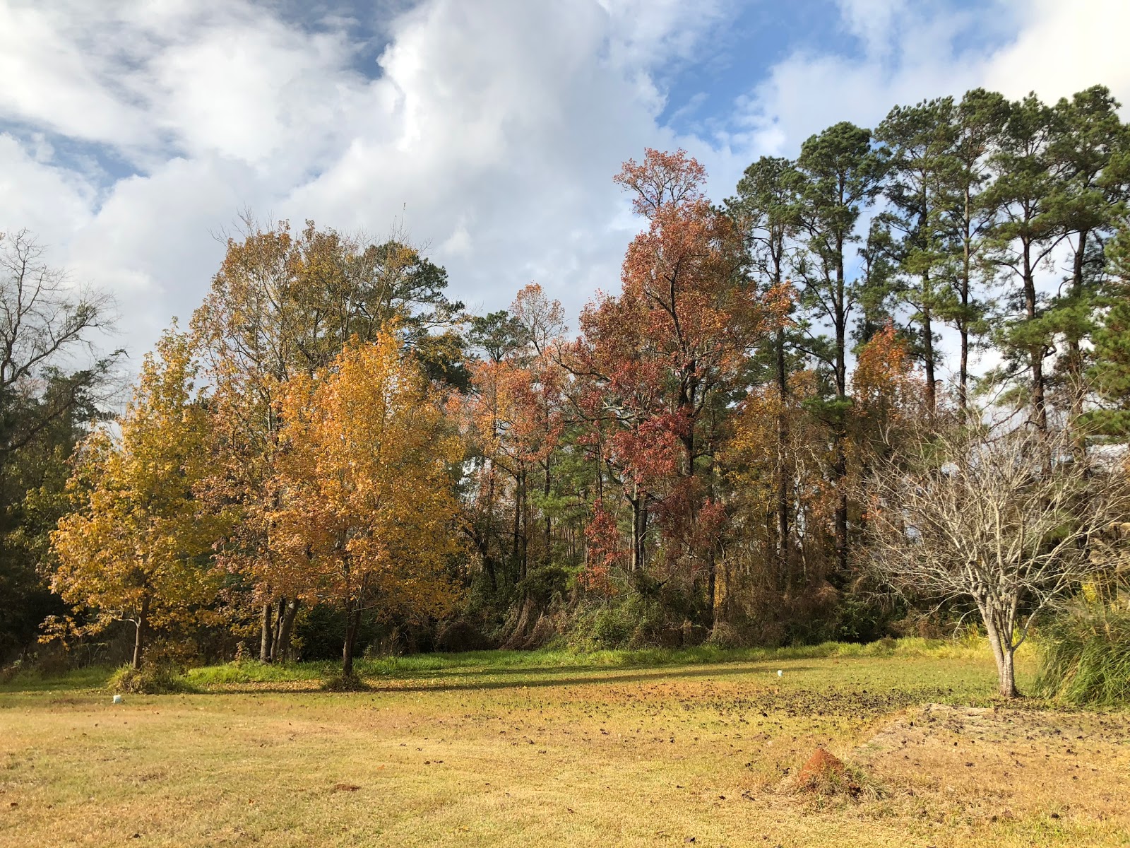 Magnolia Lake RV Park