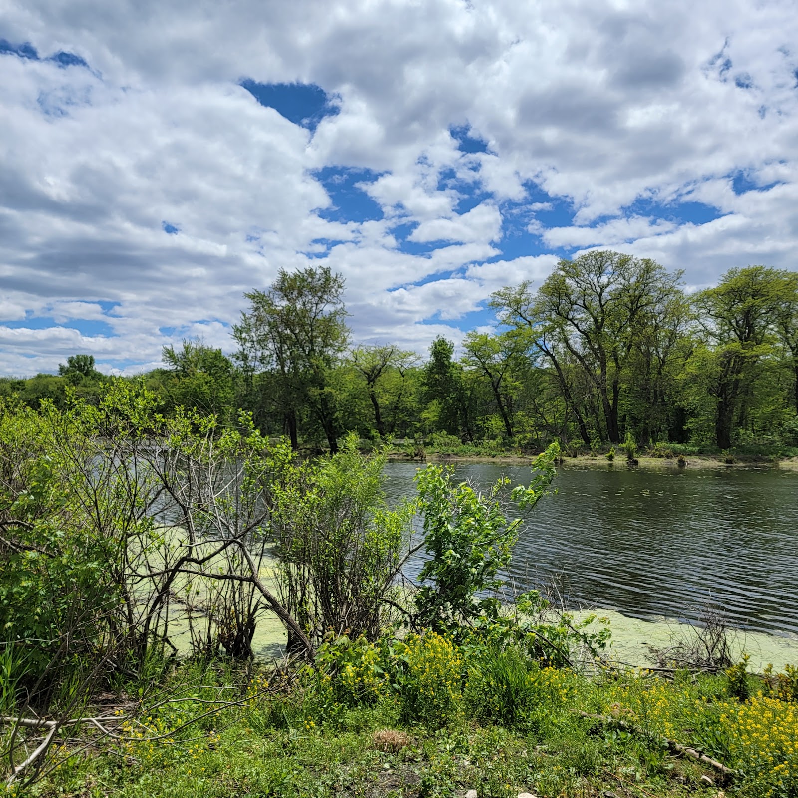 George Wyth Memorial State Park