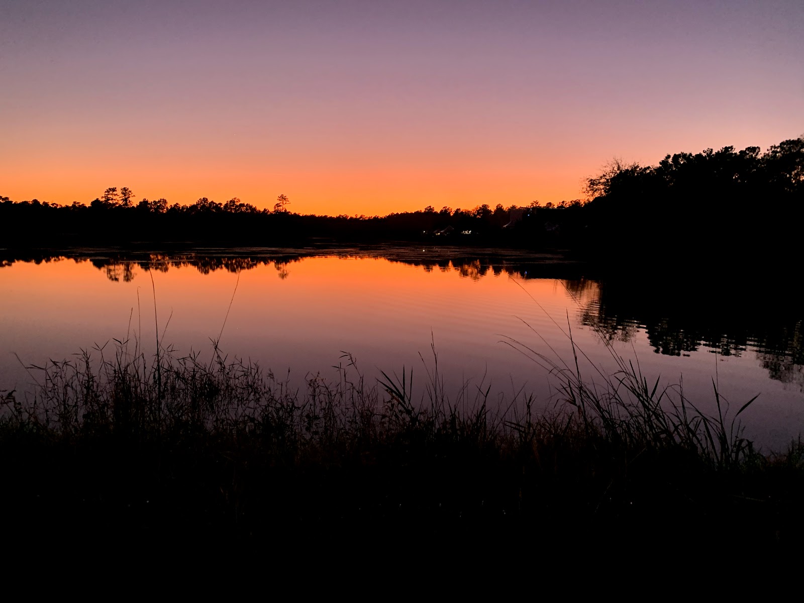 Charleston Woodlands