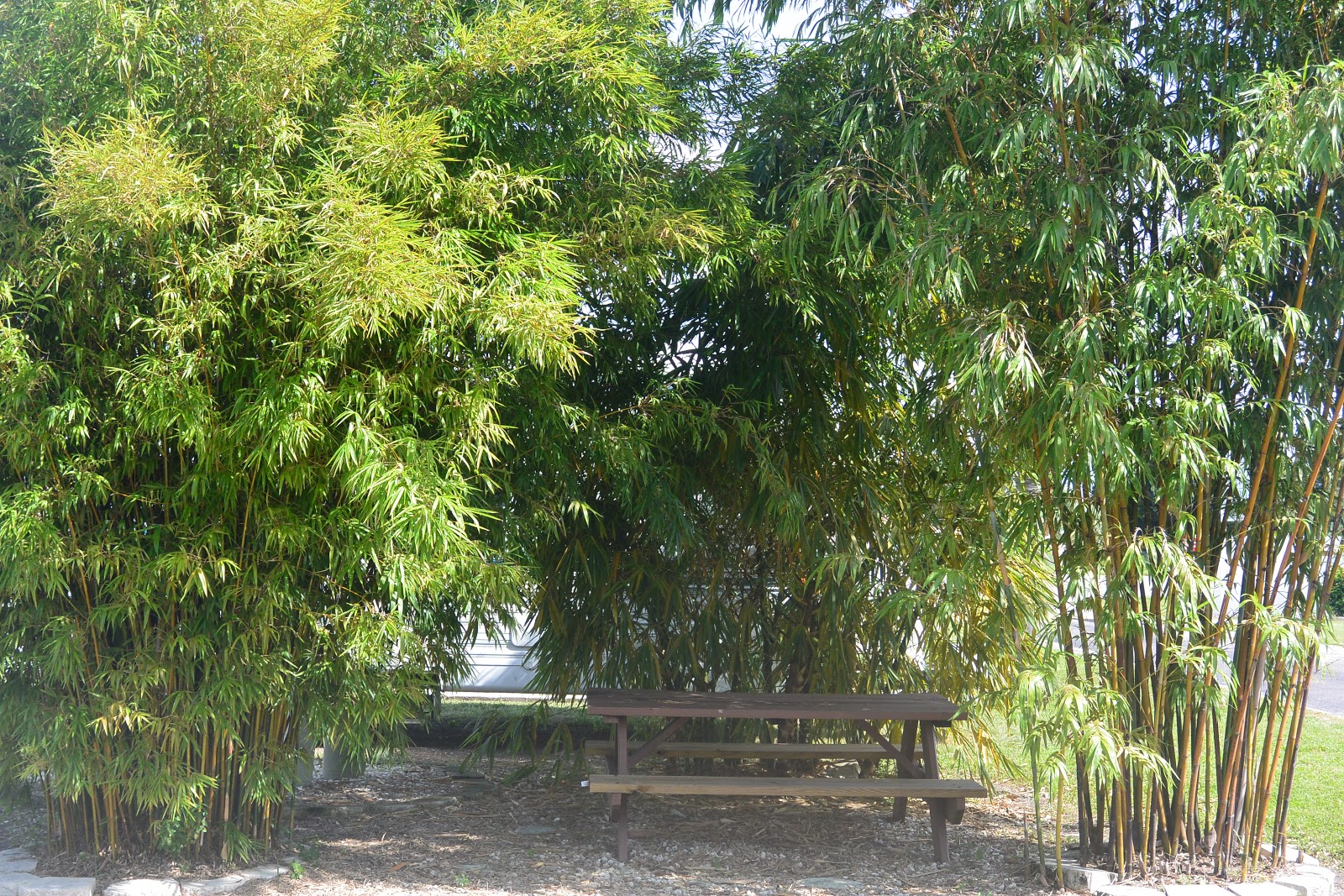 Lone Oak Camper Village