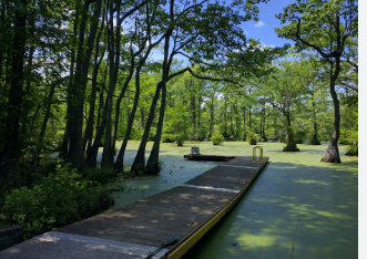 Merchants Millpond State Park