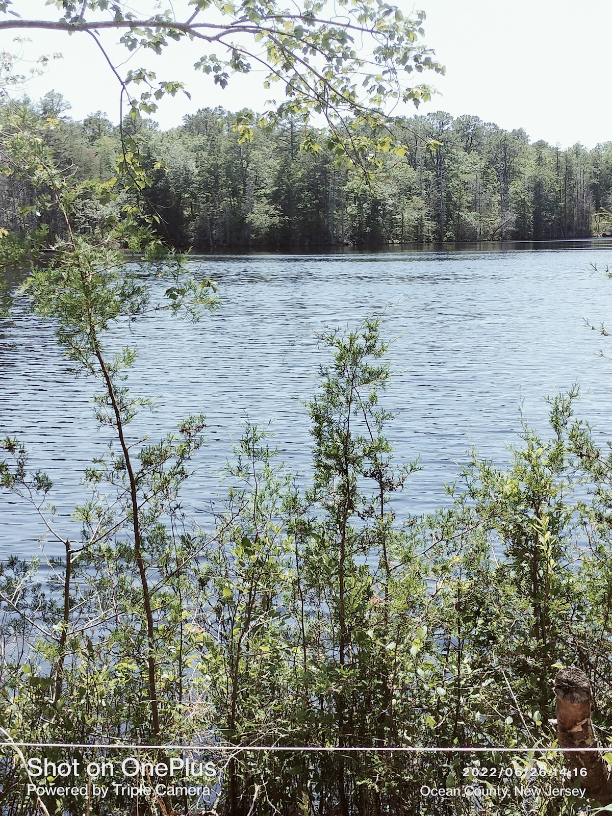 Brookville Campgrounds