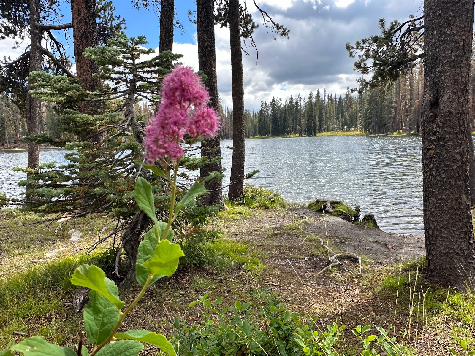 Summit Lake North - Lassen Volcanic National Park