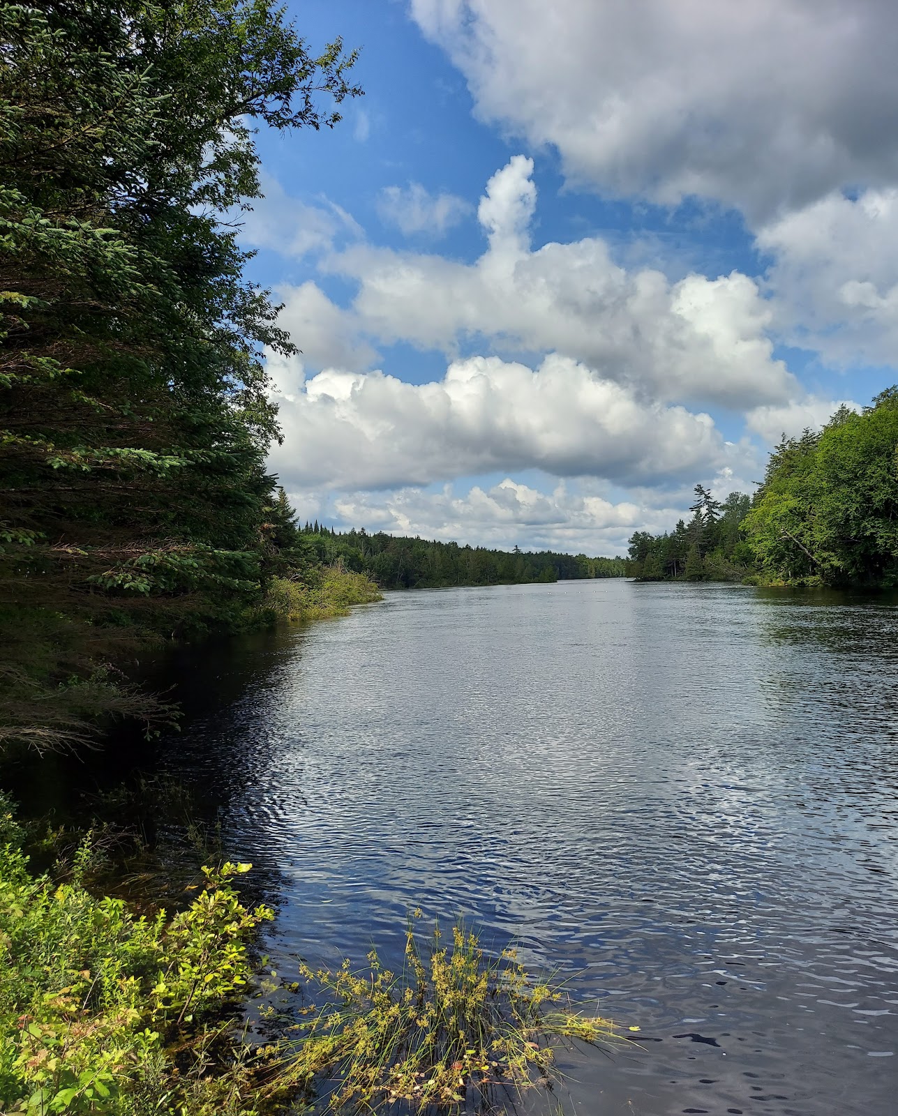 Forked Lake Adirondack Preserve