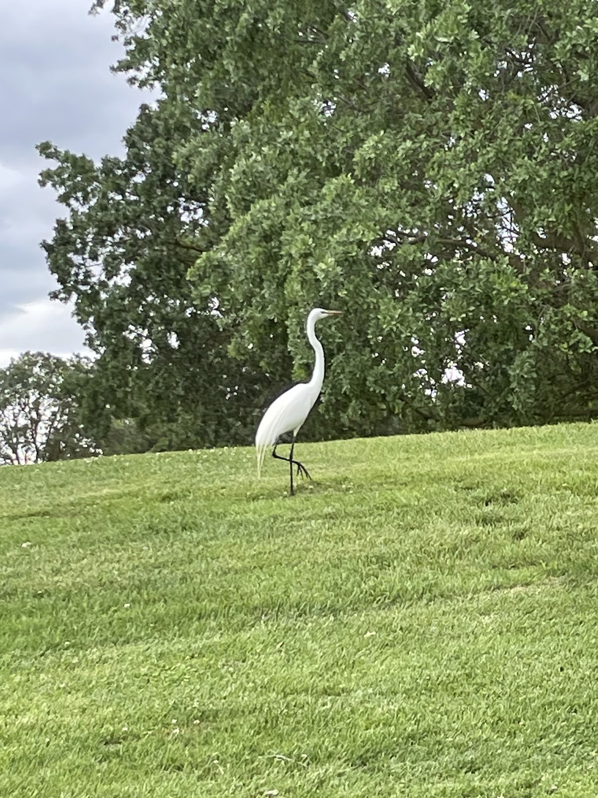 Dos Reis Regional Park