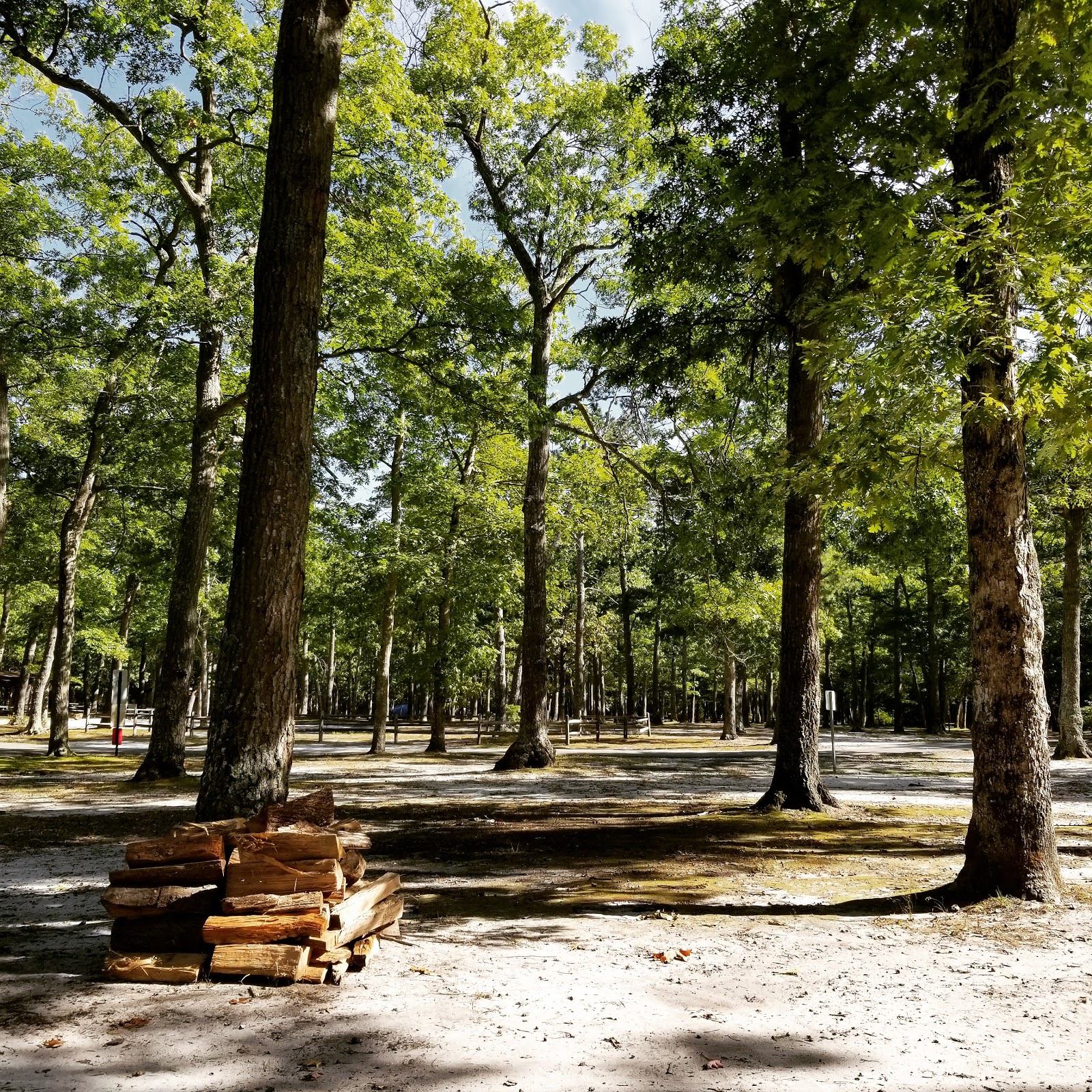 Southaven County Park Campground