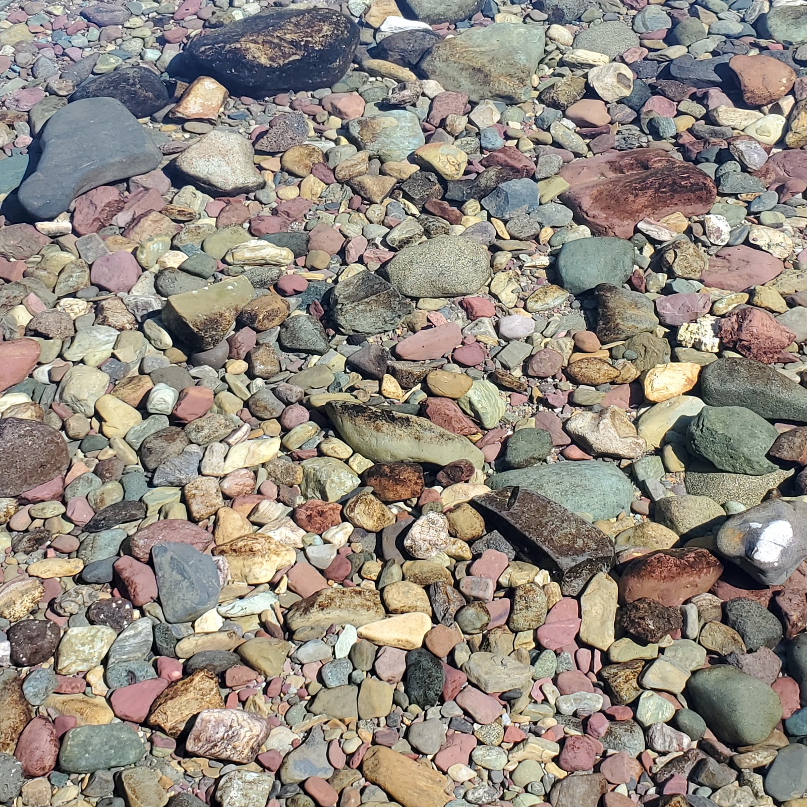 Kintla Lake Head Campground