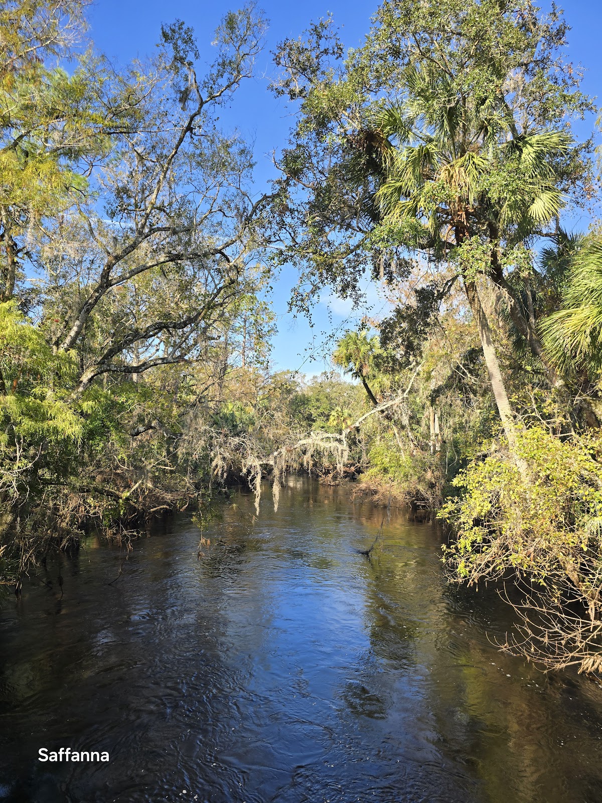 Hillsborough River Campground