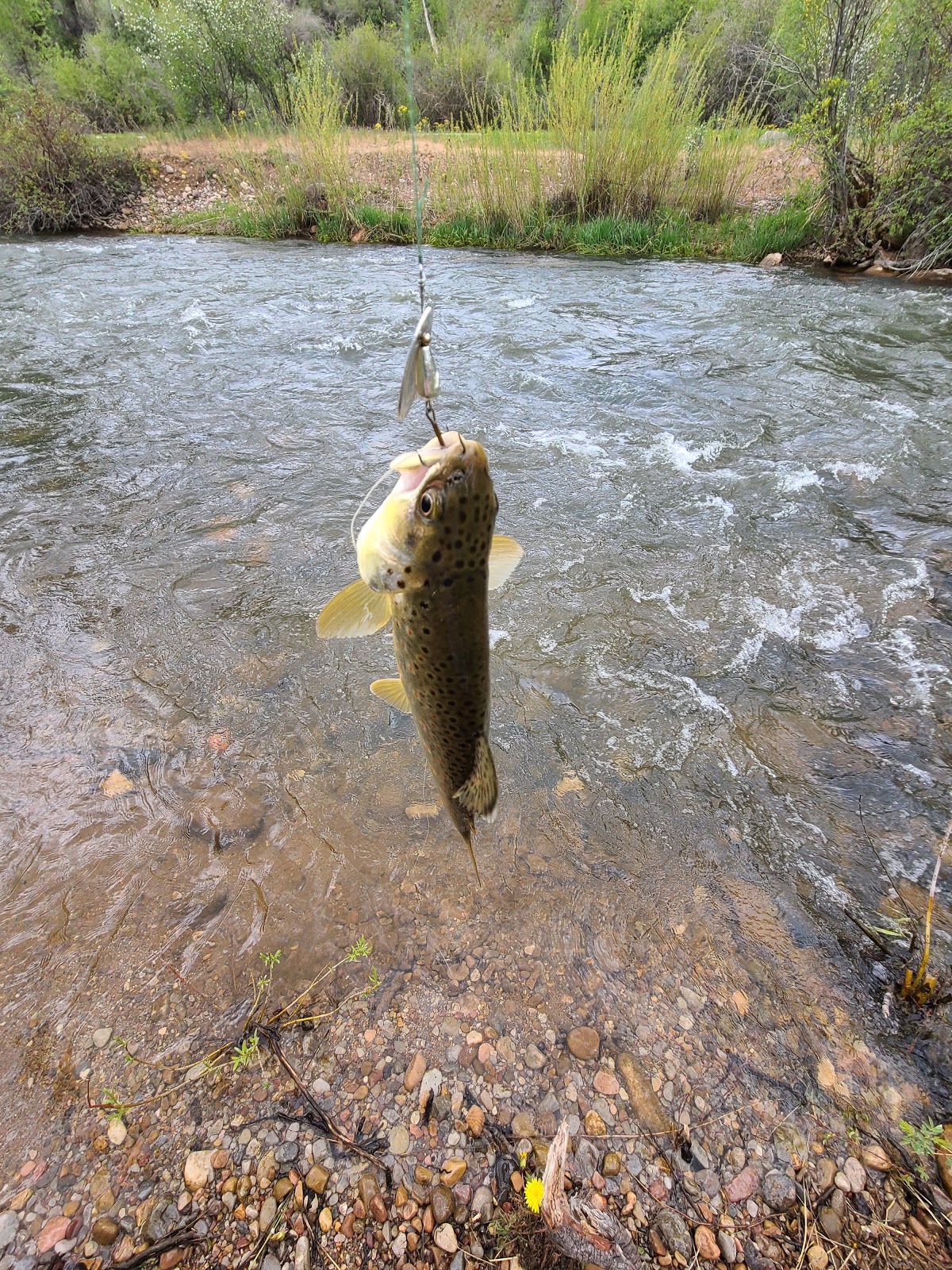 Upper Meadows Campground