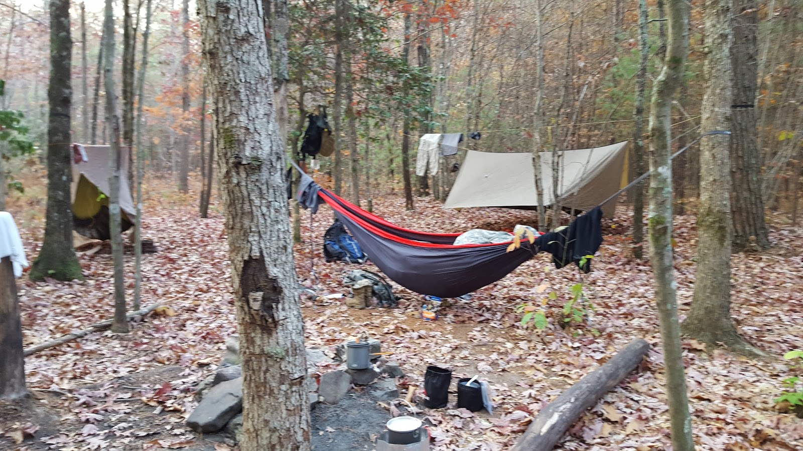 Little Possum North Campsite