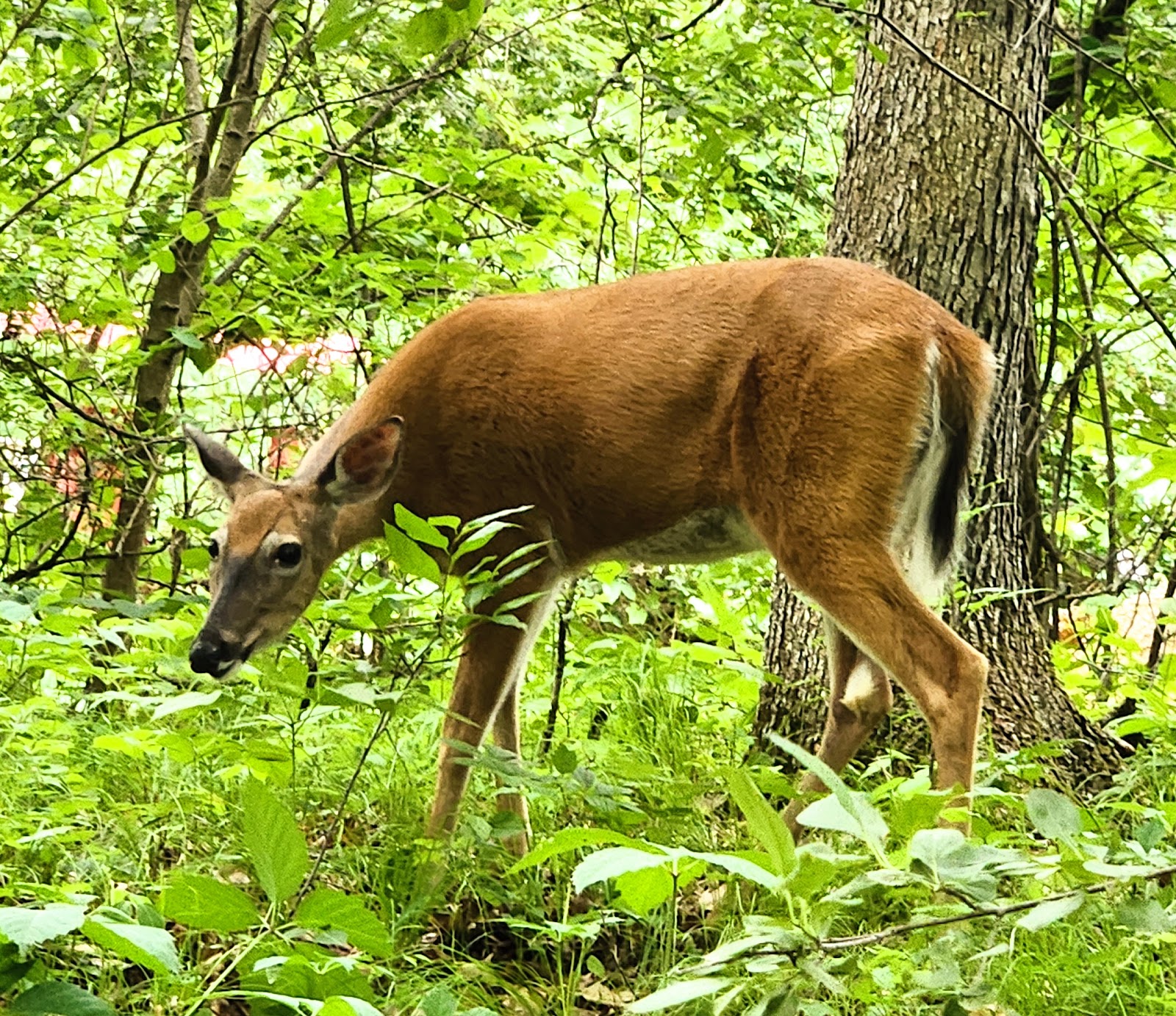 Kilby Lake Campground