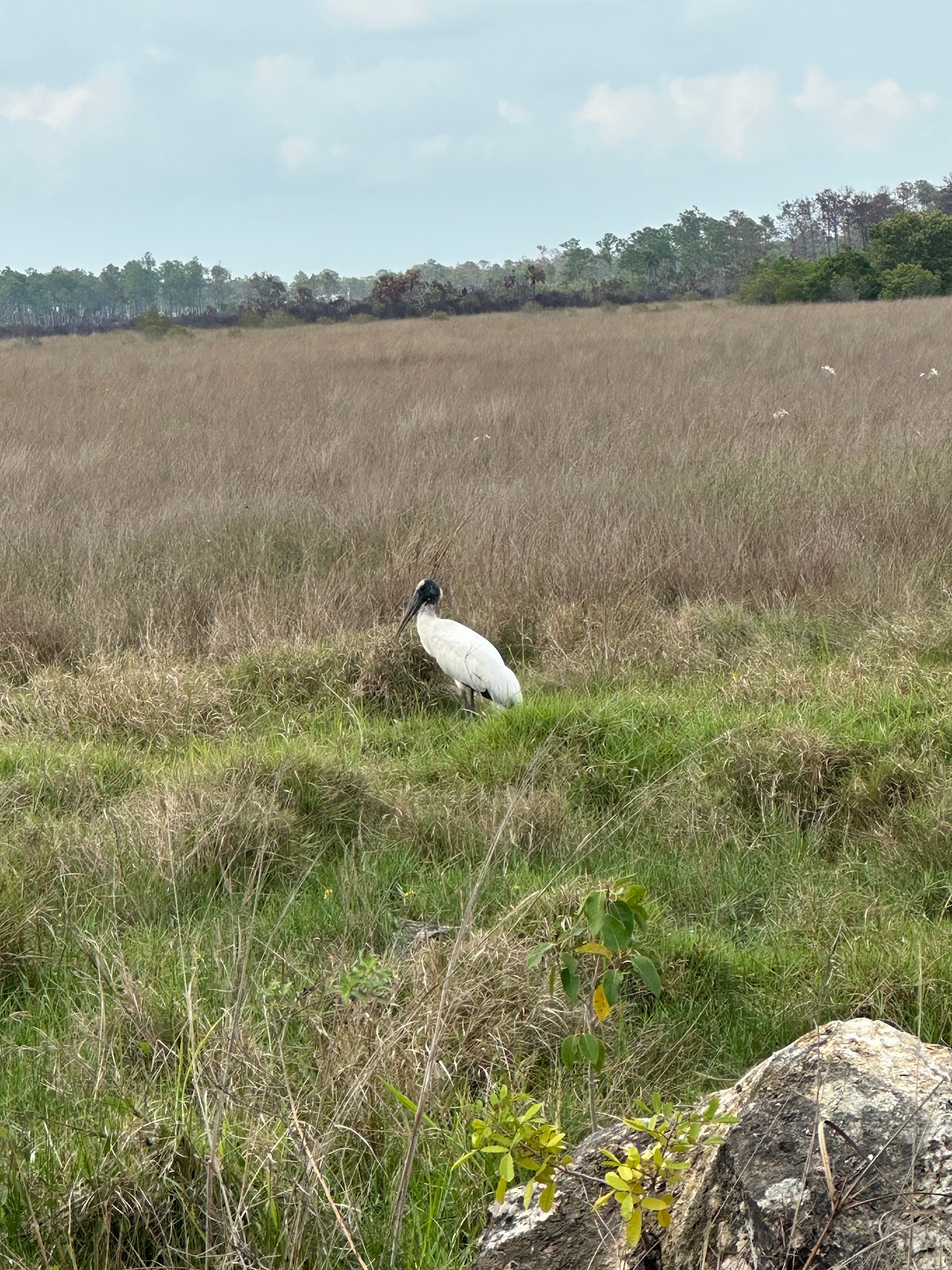 Bear Island Campground