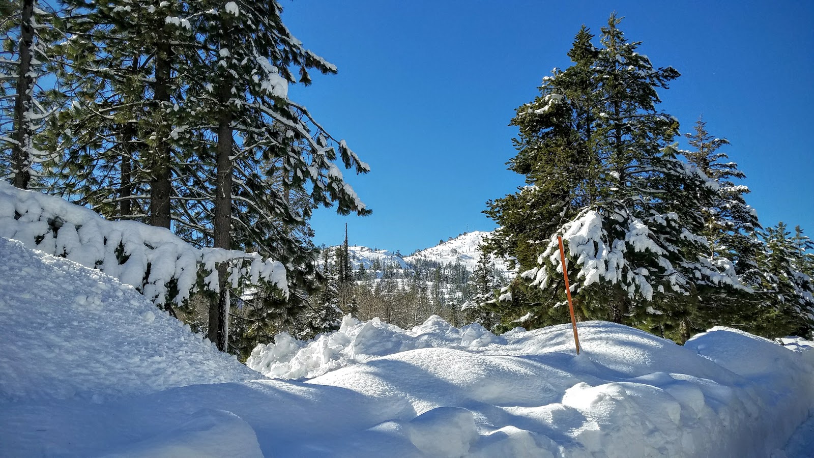 Cisco Grove Campground