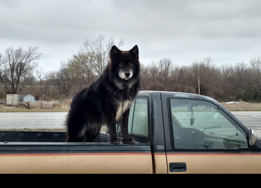 Caplinger Mills River Front Resort