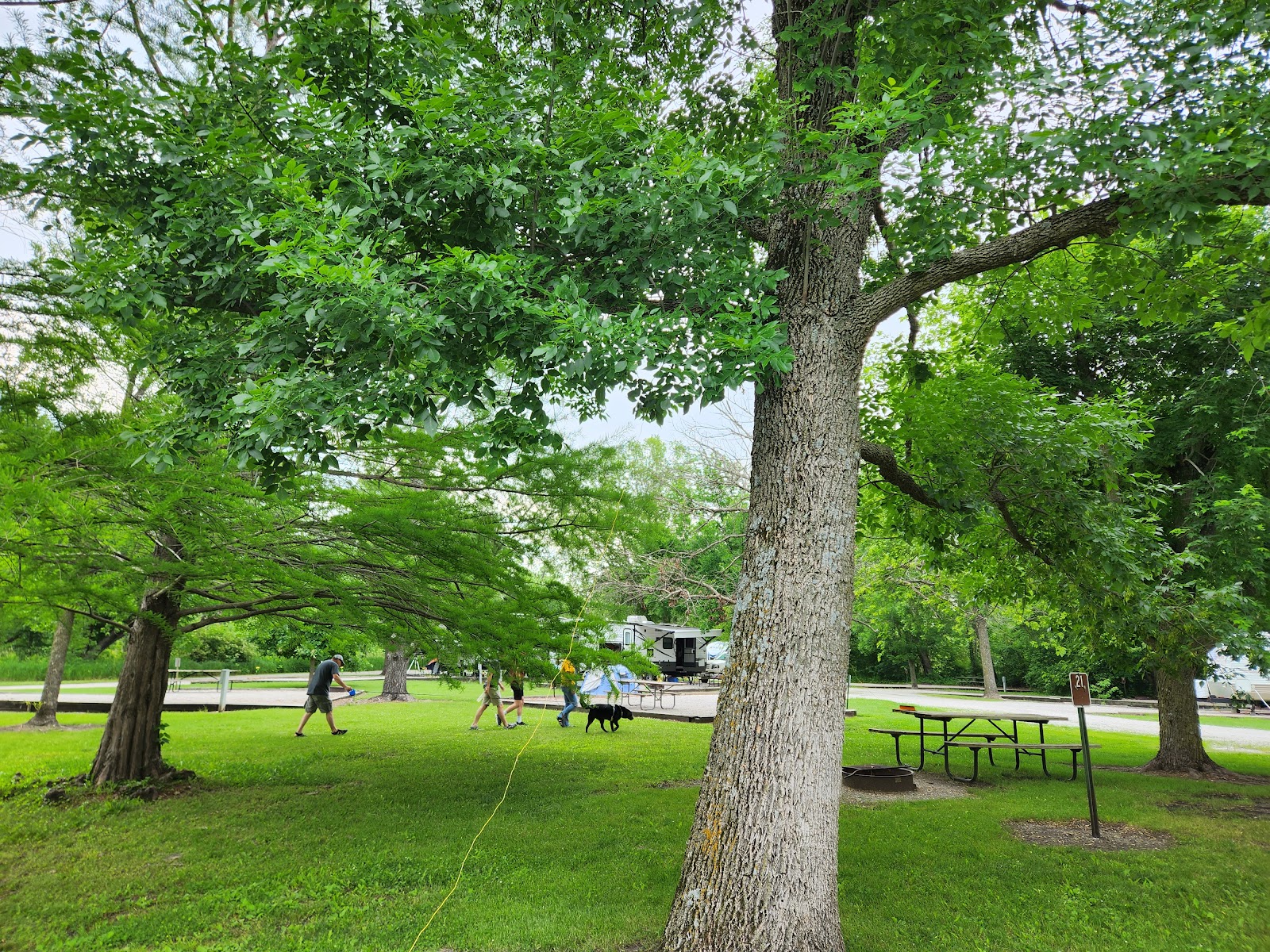 Chichaqua Bottoms Greenbelt Camping