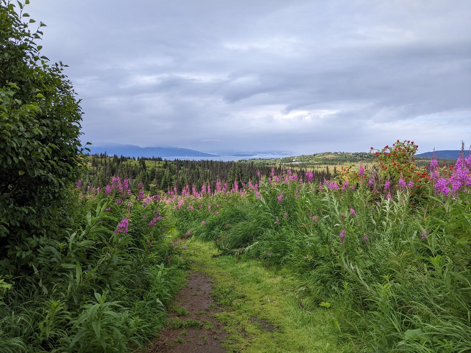 Eveline State Recreation Site