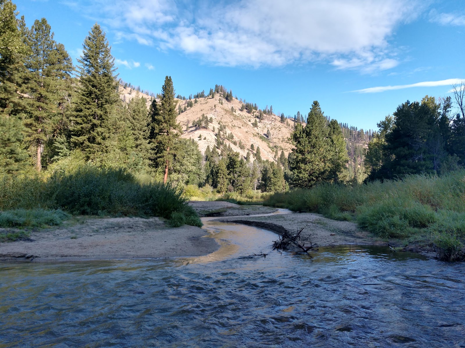 Dog Creek Campground