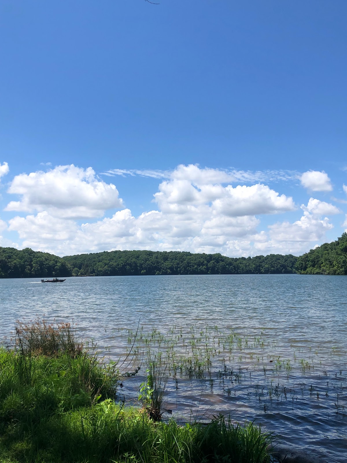 Joe Wheeler State Park