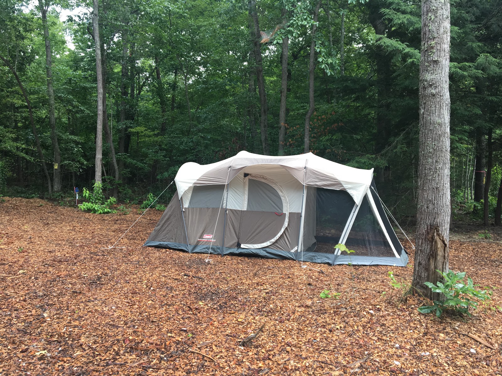 Old Mill Camp at Cummins Falls