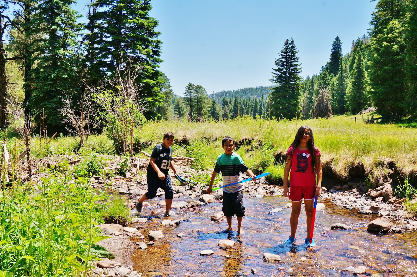 Ben Lilly Campground