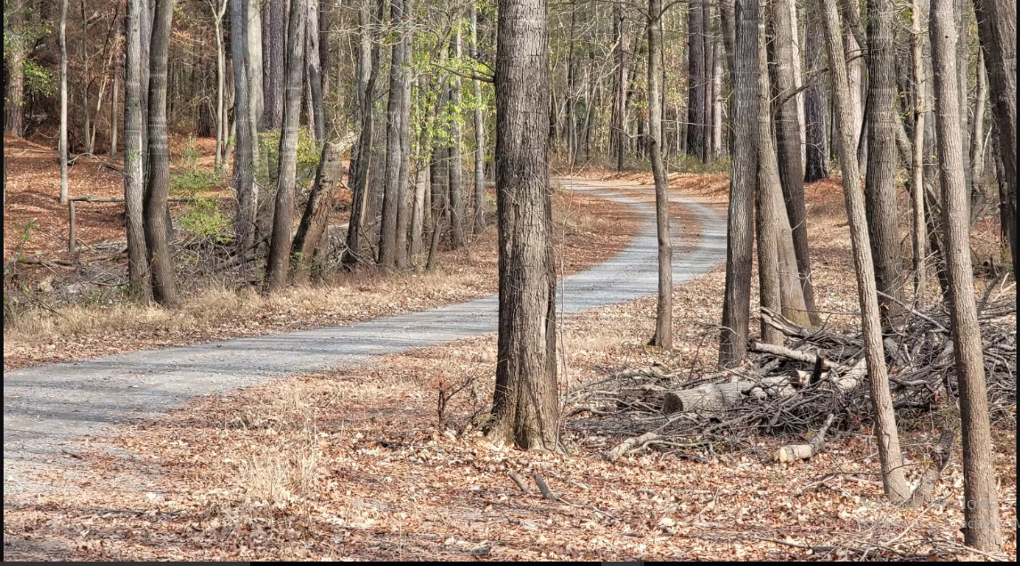 Bodcau Wildlife Management Area