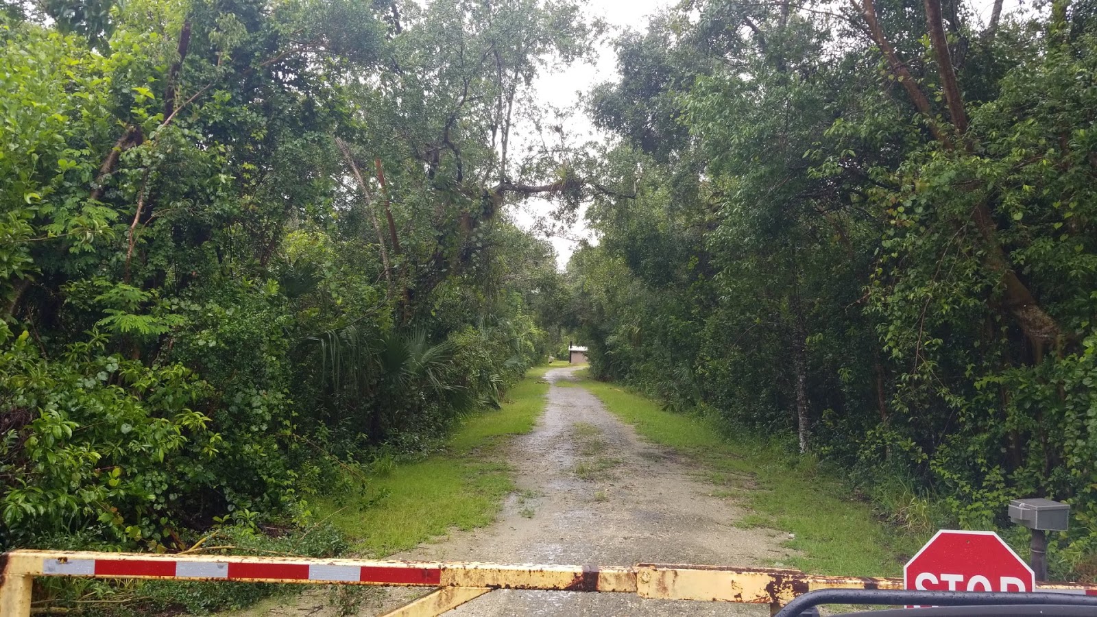 Pinecrest Group Campground - Big Cypress National