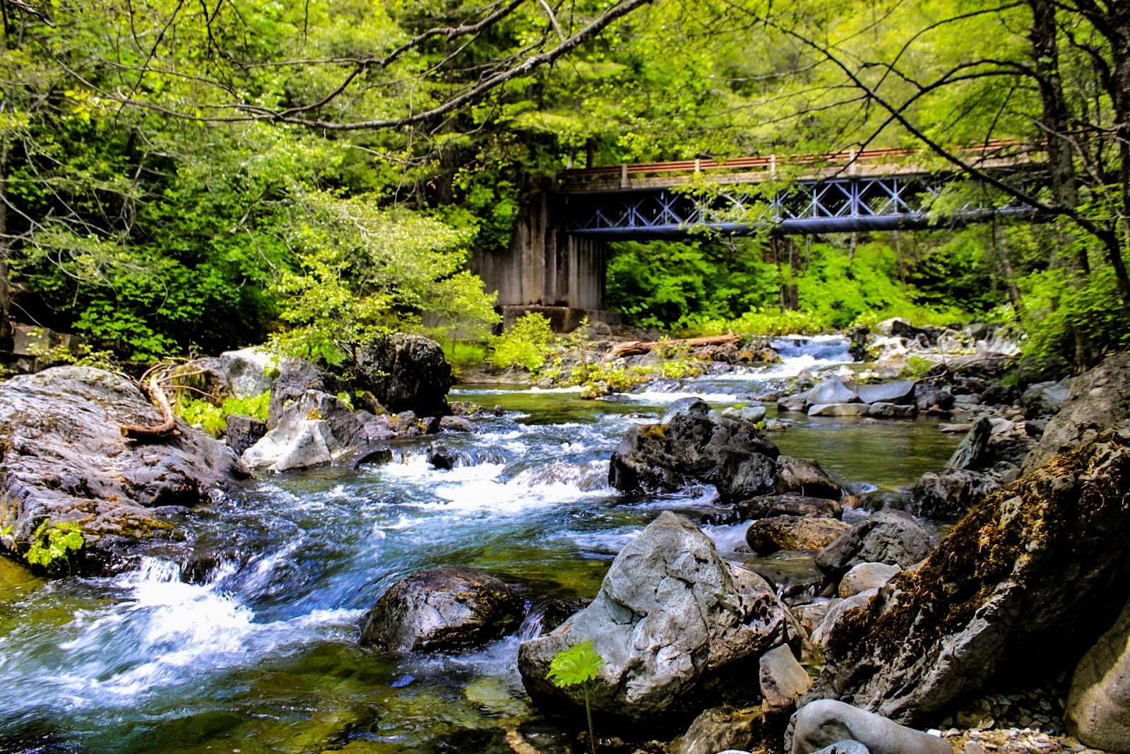 Little North Fork Campground