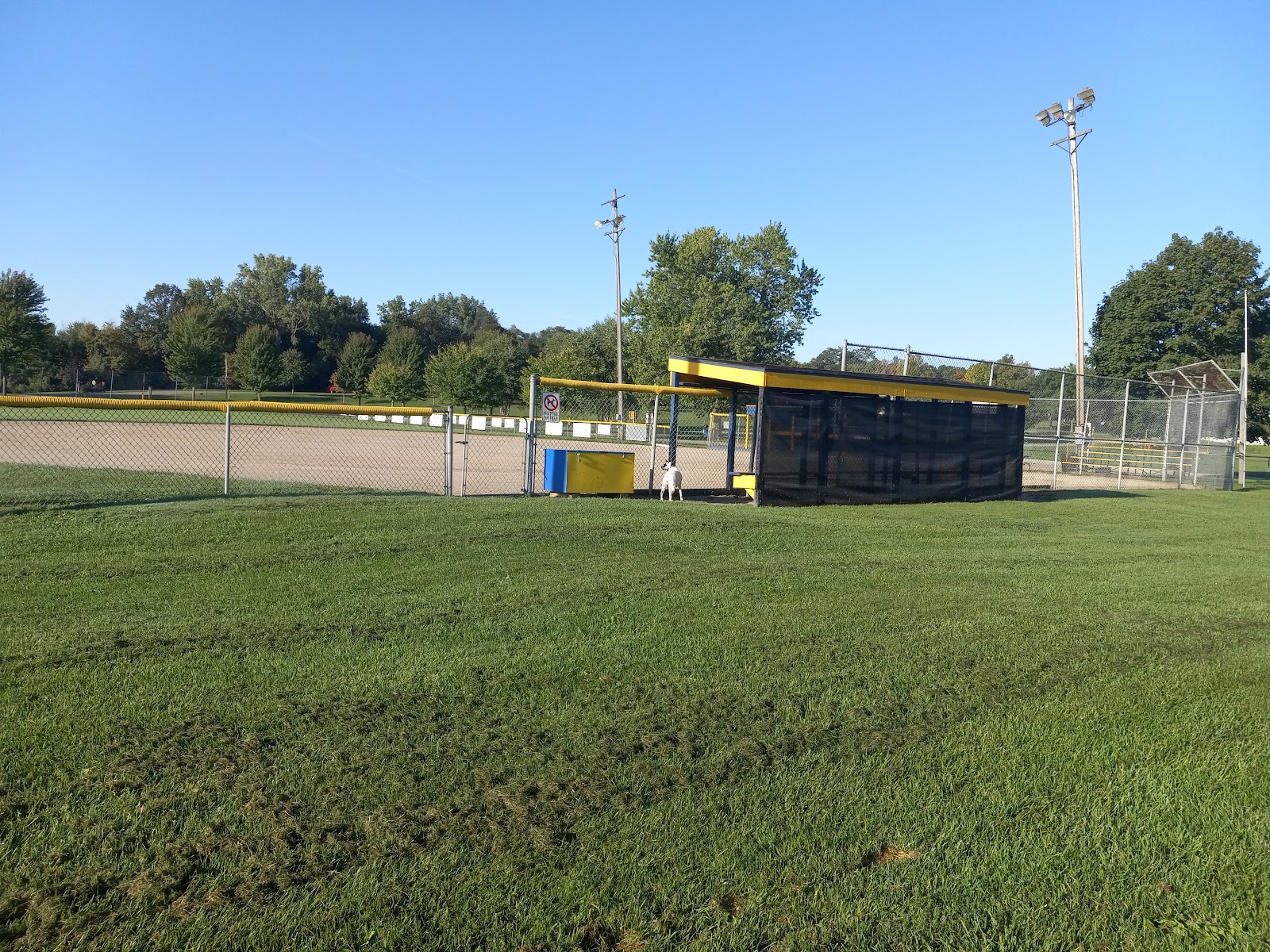 Chesaning Show Park Campground