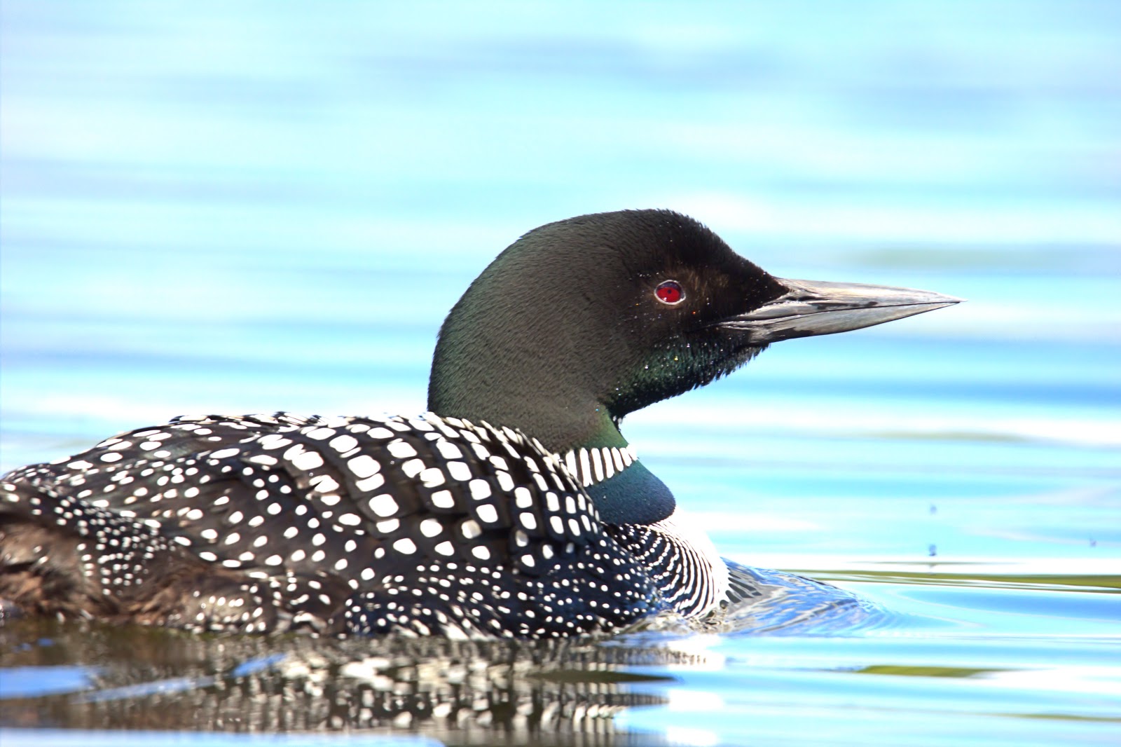 Lake Ste Kathryn Campground
