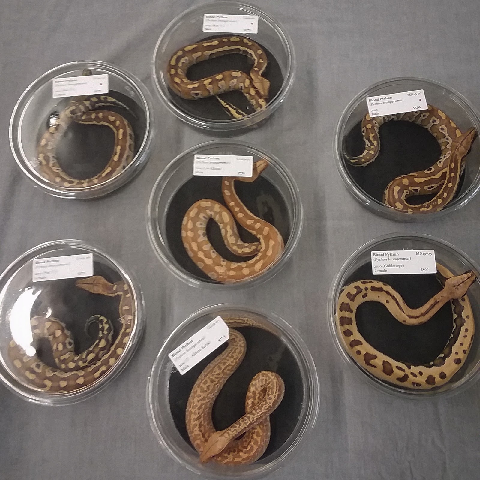 Eau Claire Co. Expo Center