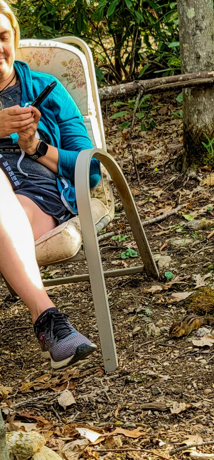 Grandfather Mountain Campground