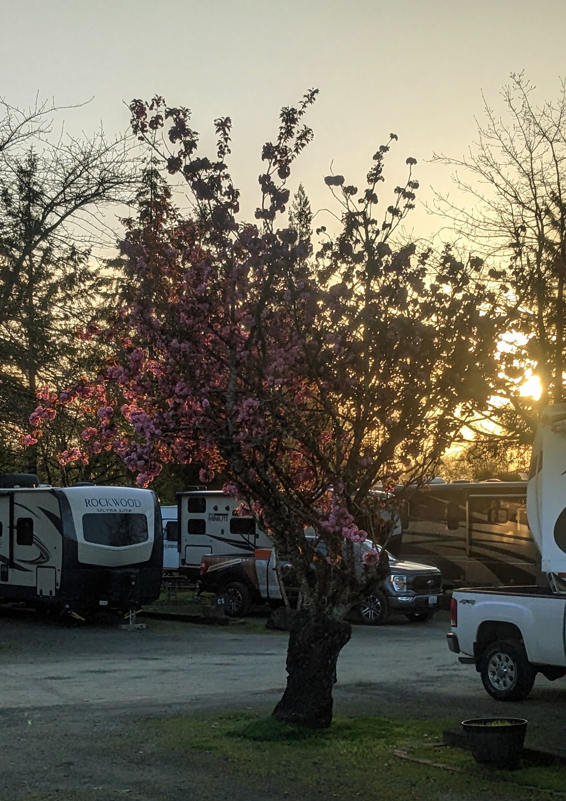 Elma RV Park