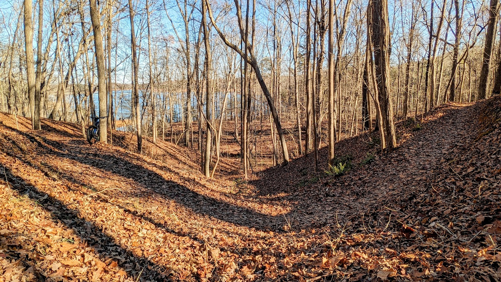Paynes Creek Campground