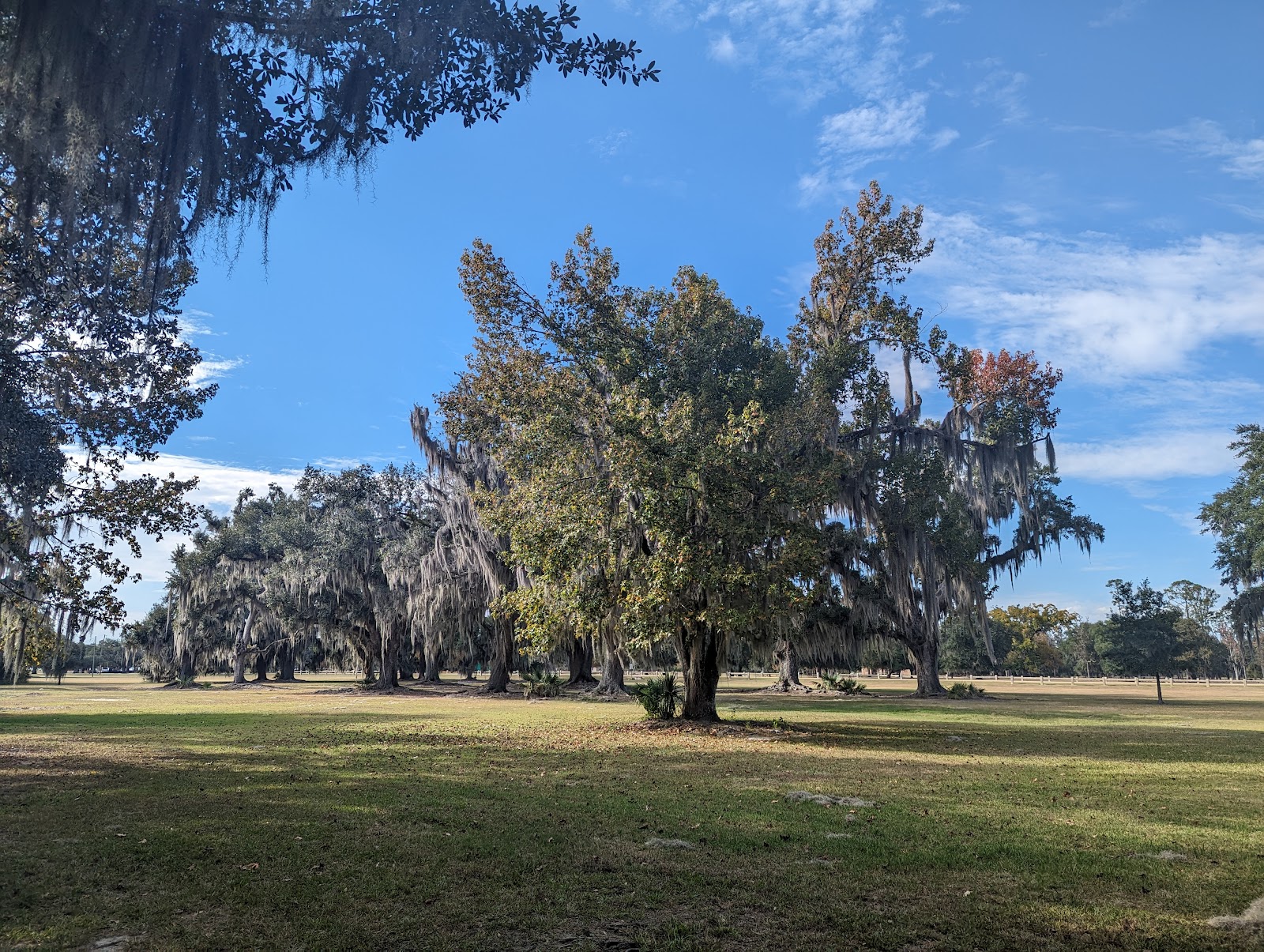 Fontainebleau State park Campground